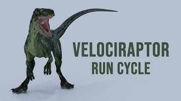 Velociraptor Run Cycle