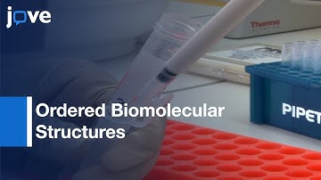 Formation Of Ordered Biomolecular Structures: Self-Assembly (Peptides)