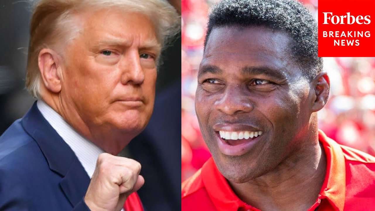 Trump Ally Herschel Walker Is Running For U.S. Senate In Georgia