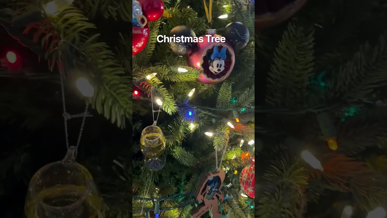 #christmas #ornaments #christmasornaments #christmastree #cruise