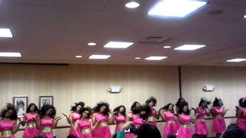 Tau Chapter of Alpha Kappa Alpha "Serious Matter"