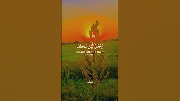 القارئ #عمر_دريويز ❤️[سورة:الأنعام ](الآية:96)