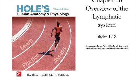 Holes Chapter 16 Lymphatic system slides 1-13 Overview of the Lymphatic system