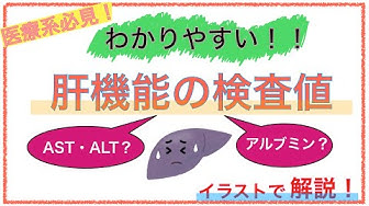 肝機能 Youtube