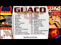 GUACO EXITOS 80