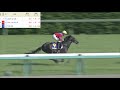 2020皐月賞　レース動画と結果　オッズ付き  中山競馬場 パトロール　競馬予想
