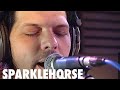 SPARKLEHORSE  - Painbirds (Live on 2METERSESSIONS)