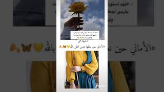 ورد اصفر🌻💛 || عشاق الأصفر || فيديوهات قصيرة🌞💫