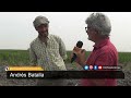 Andrés Batalla, agrónomo de Curuzú Cuatiá, Corrientes