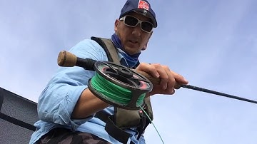 Popping the Booby, Ripping The Blob