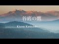 谷底の鷹 - 清須邦義