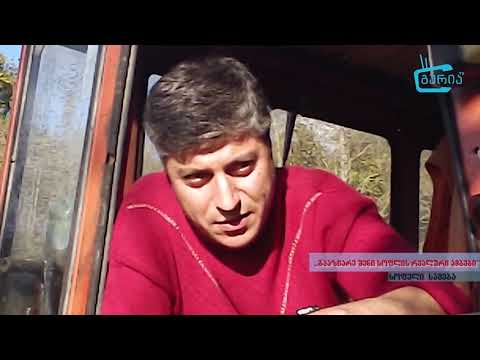 \"გააზიარე შენი სოფლის რეალური ამბები\" -   შინაური პირუტყვის დაავადებები სამებაში