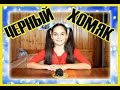 ОБЗОР: КАКОГО ВИДА ЧЕРНЫЙ ХОМЯК | Алиса Изи | ХОМКИ | BLACK HAMSTER