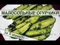 Малосольные огурцы - самый вкусный и быстрый рецепт приготовления огурчиков. Lightly salted cucumber