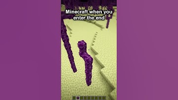 Minecraft moment