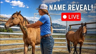 Our Kiger Mustang FINALLY Has A Name