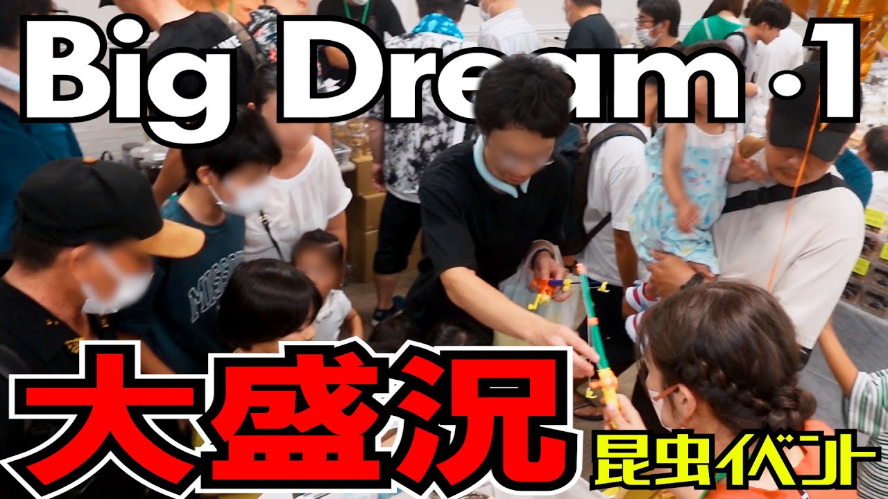 昆虫イベント「BigDream」に初出店！昆虫くじで巨大レアクワガタが当たりました！
