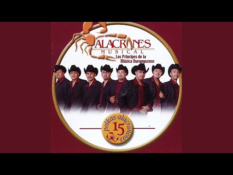 Putar 23 De Infanteria - Alacranes Musical