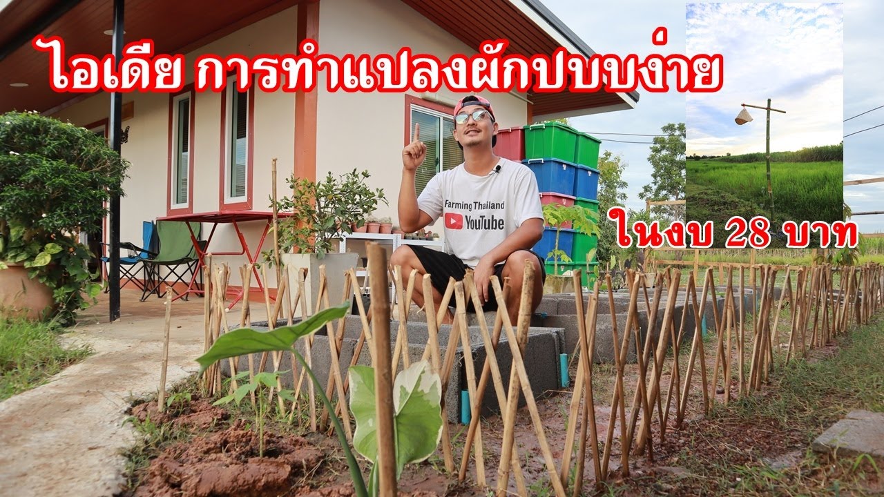 ไอเดียการทำแปลงผักแบบง่าย ประหยัด รวดเร็ว เคลื่อนย้ายได้