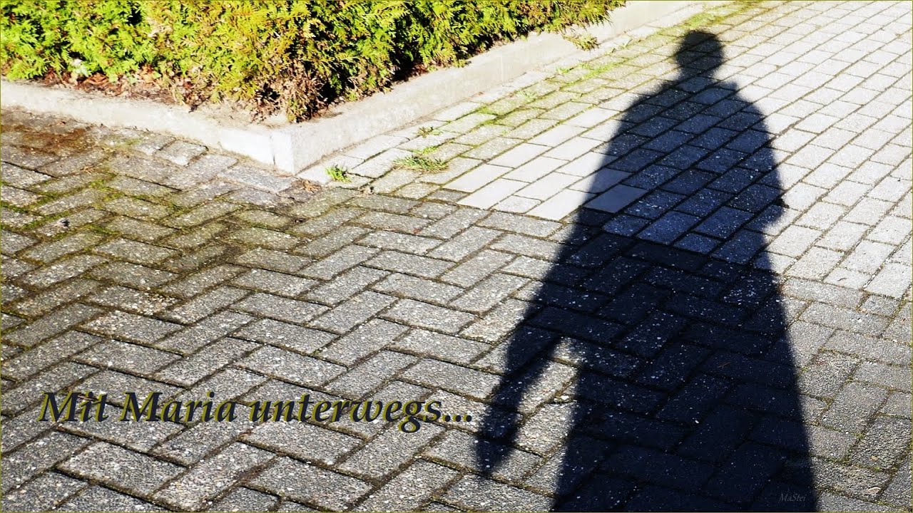 Mit Maria unterwegs: 5000 Schritte unterm *WINTERHIMMEL*