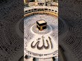 #allah #muhammad #allahmuhammad #subscribe #islamicvideo #beautiful  #islamicconference