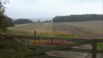 The Sun Casts Shadows