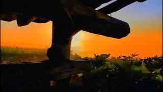 Story'Wa 30 Detik Hari Senin Bahagia || Qoutes Selamat Pagi Hari Senin