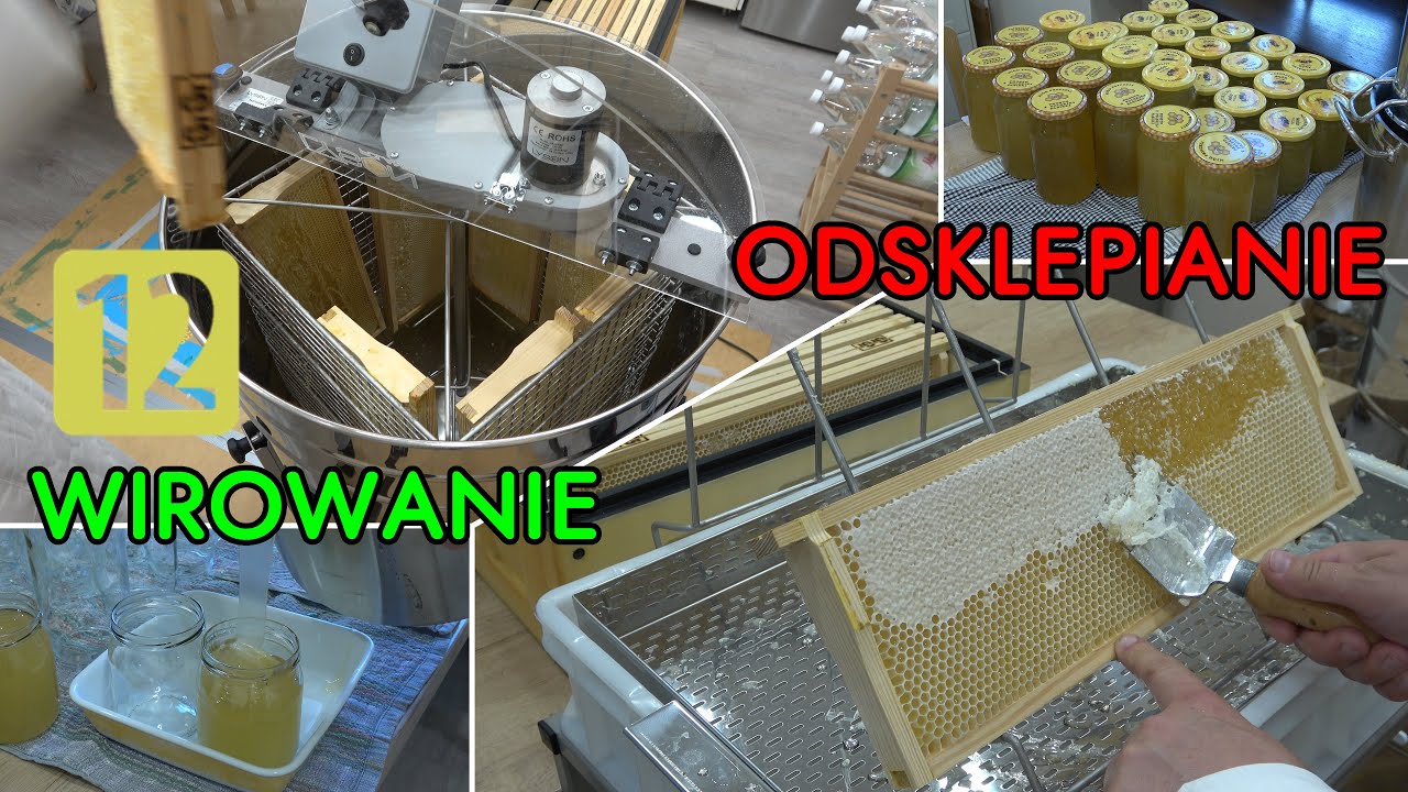 S01E19 Odsklepianie ramek, wirowanie miodu i rozlewanie do słoików.