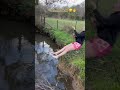 #Fails #FunnyVideos #EpicFails #Weightless #Compilation #Humor #GravityFails #LaughOutLoud