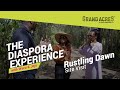 The grand acres diaspora experience  with wacu and jojo rustling dawn  elementaita