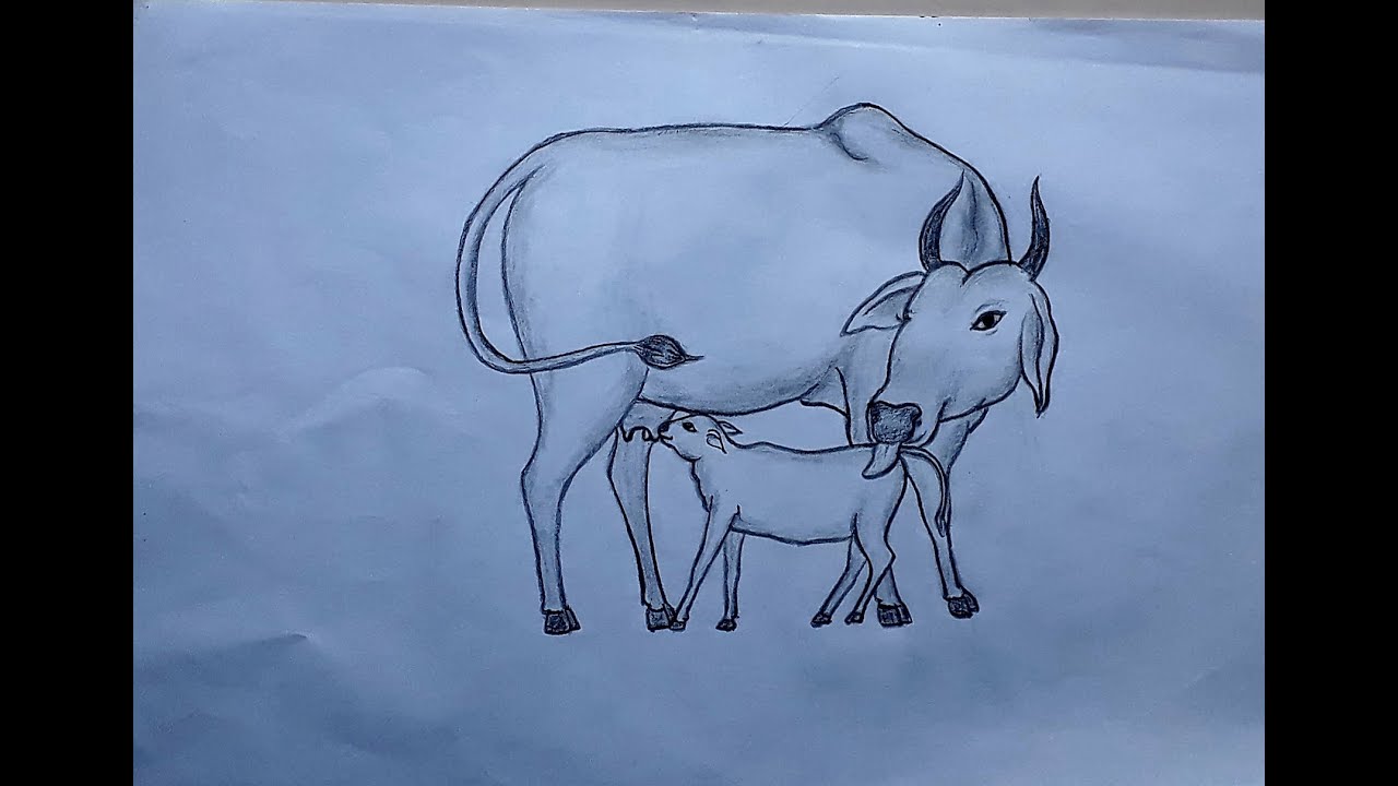 How to Draw Funny Cow, Farm Animals