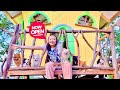Bug Opened A Restaurant For Pets Little Big Toys Bug Opened A Restaurant For Pets Little Big Toys