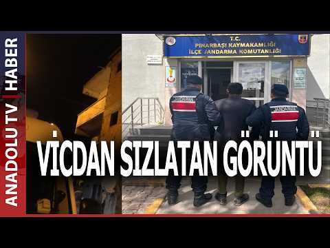 KÖPEĞİ ZİNCİRLE AĞACA ASARAK ÖLDÜRDÜ!