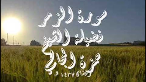 سورة الزمر بصوت الشيخ حمزة المجالي . مشروع لكل سورة قارئ .
