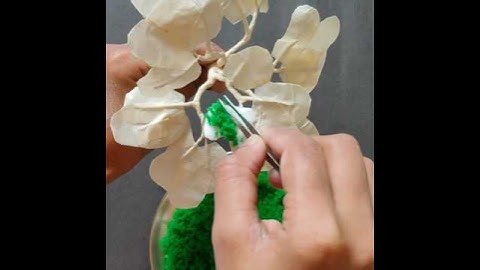 Diy Sponge Tree|Tree Making With Sponge|Diy Tree|Sponge Tree|Tree Craft #shorts #diy #tree #sponge