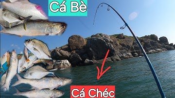 Câu cá biển gần bờ,câu jig cá chéc và cá bè tại Hòn Lao Mũi Né.@