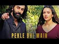 Animal  pehle bhi main  loop song 