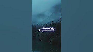 تلاوه المنشاوي خشوع 🙏♥ #قرآن #اللهم_صل_وسلم_على_نبينا_محمد #تلاوة_خاشعة #الله #قران_كريم #المنشاوي