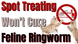 Why Spot Treating Doesn't Cure Ringworm in Cats