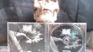 SEVERE TORTURE - &quot;END OF CHRIST&quot; AND &quot;FALL OF THE DESPISED&quot;