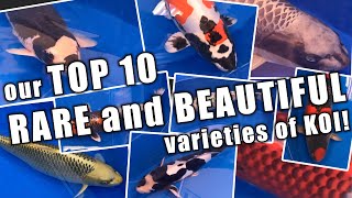 Our TOP 10 RARE and BEAUTIFUL varieties of KOI!