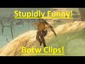 Stupidly Funny Botw Clips!