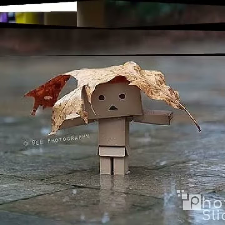 Kisah sedih, si danbo..😭😭