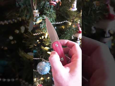 Oh Christmas Finch!