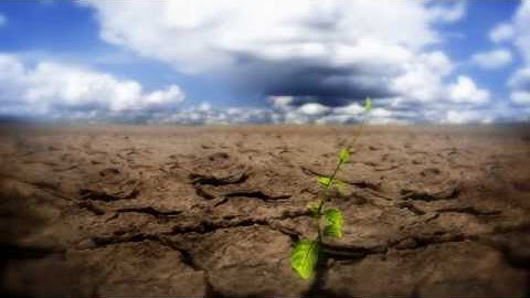 Rethink | Sustainability