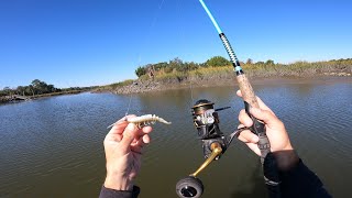 We Threw EVERY Shrimp Lure at them! (Scrapin By)