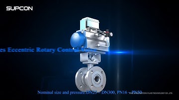 Eccentric Rotary Control Valve