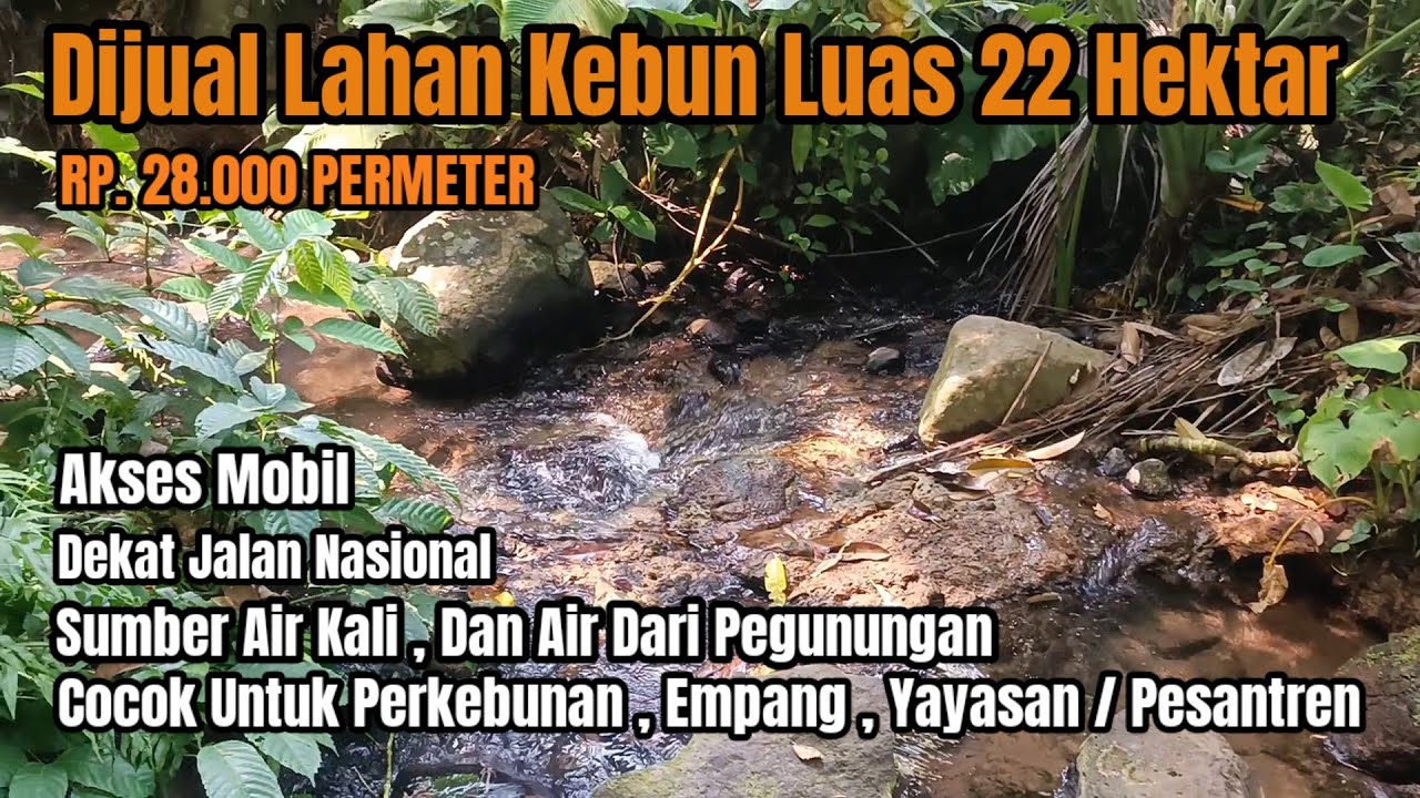 Dijual Lahan Kebun Luas 22 Hektar, Akses Mobil ,Sumber Air Banyak,Tanah Subur,Harga 28.000 Permeter