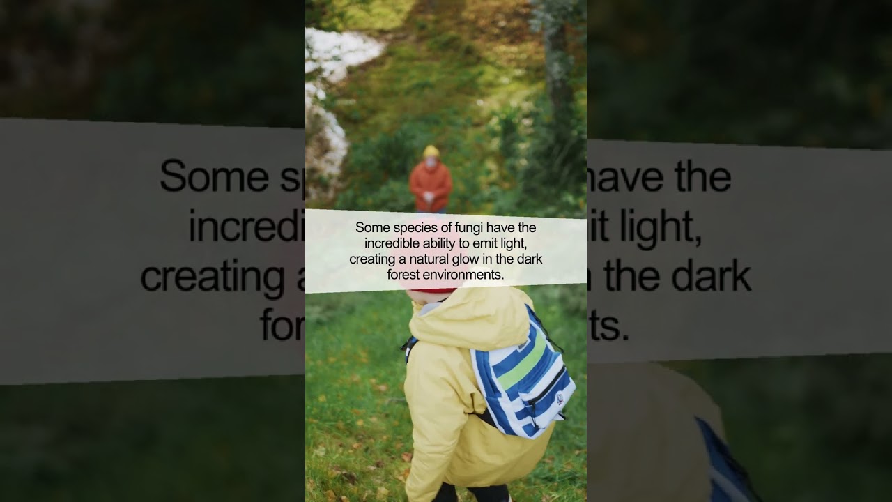 The Hidden Brilliance of Fungi that Glow in the Dark