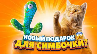 Новый Подарок Для Симбочки 😱 Подборка Смешных Видео